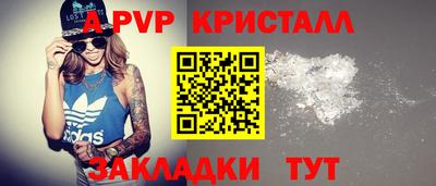 мдпв Камышлов